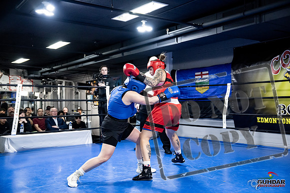Cougar Boxing -0074
