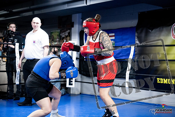 Cougar Boxing -0076