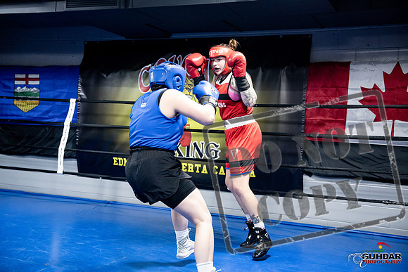 Cougar Boxing -0078