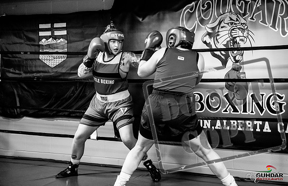 Cougar Boxing -0080