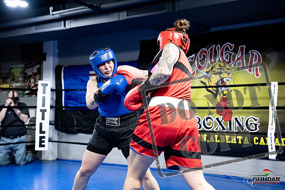 Cougar Boxing -0081