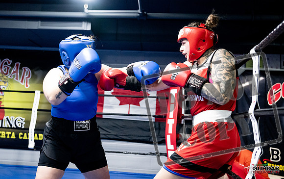 Cougar Boxing -0084