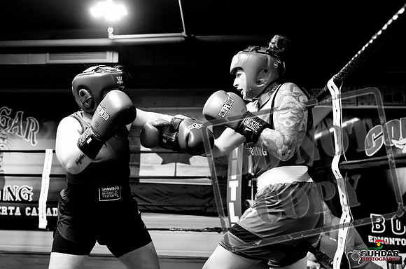 Cougar Boxing -0085