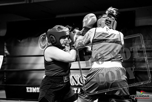 Cougar Boxing -0086