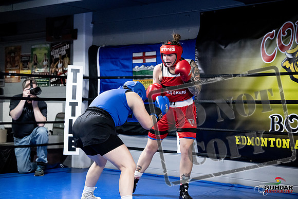 Cougar Boxing -0090