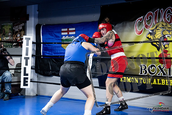 Cougar Boxing -0091