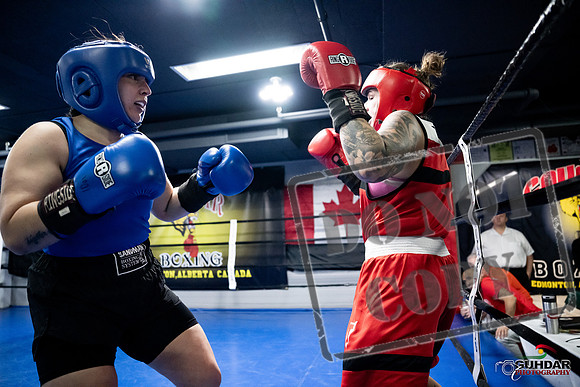 Cougar Boxing -0092