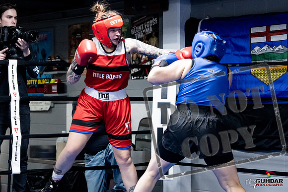 Cougar Boxing -0095