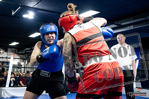 Cougar Boxing -0097