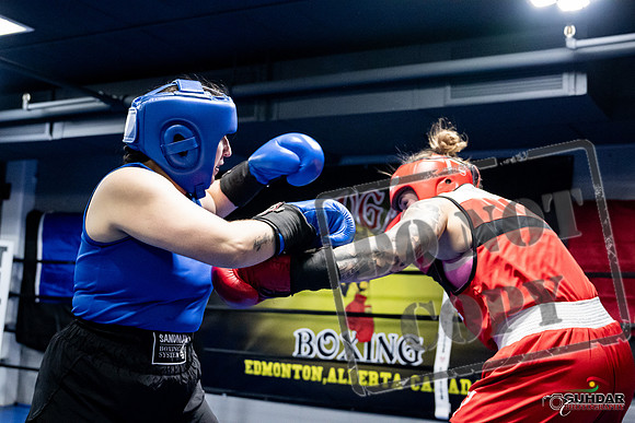 Cougar Boxing -0098