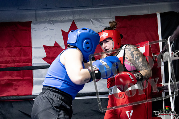 Cougar Boxing -0099