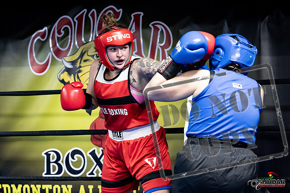 Cougar Boxing -0100