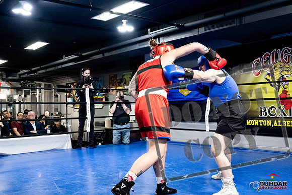 Cougar Boxing -0101