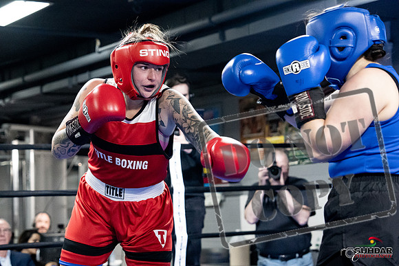 Cougar Boxing -0102