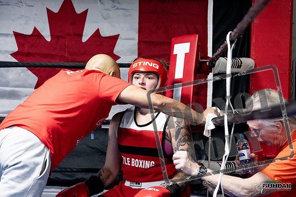 Cougar Boxing -0103