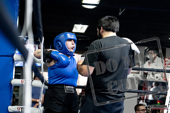 Cougar Boxing -0104