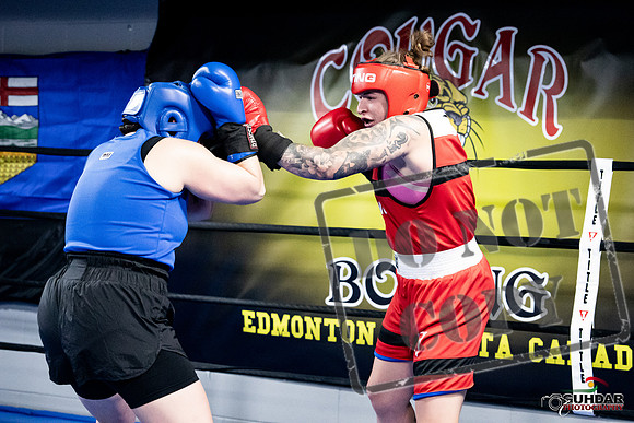 Cougar Boxing -0107