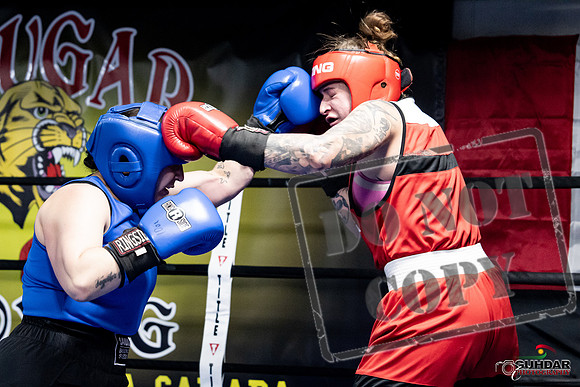 Cougar Boxing -0108