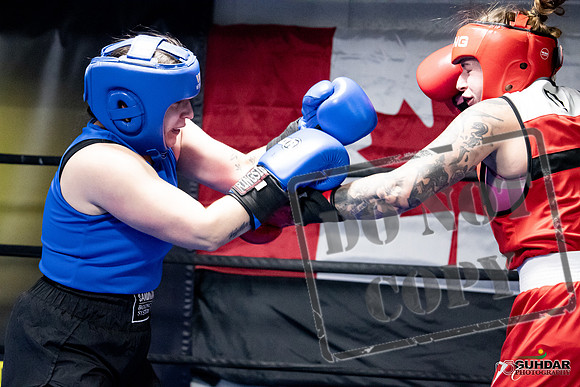 Cougar Boxing -0109