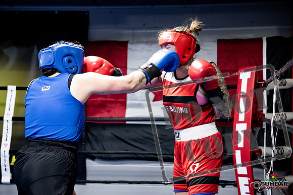 Cougar Boxing -0112