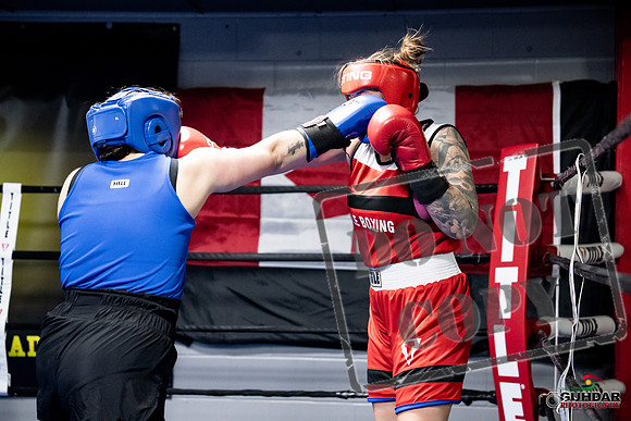 Cougar Boxing -0113