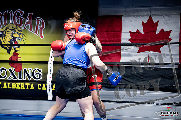 Cougar Boxing -0114
