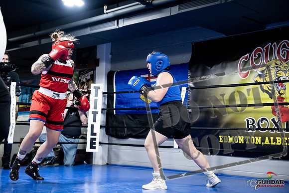Cougar Boxing -0115