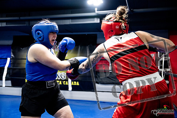 Cougar Boxing -0120