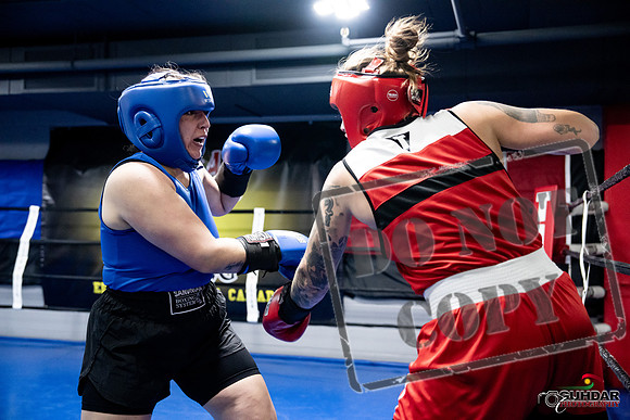 Cougar Boxing -0121