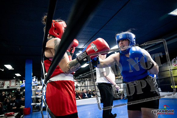 Cougar Boxing -0122