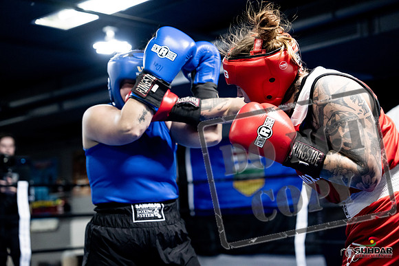 Cougar Boxing -0124