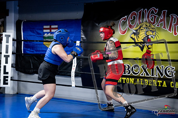 Cougar Boxing -0126