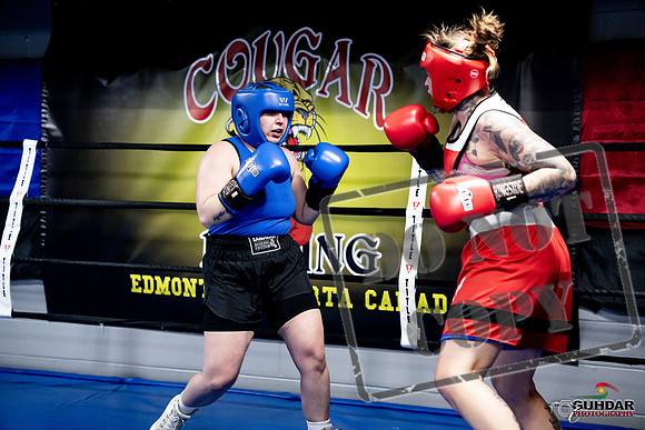 Cougar Boxing -0127