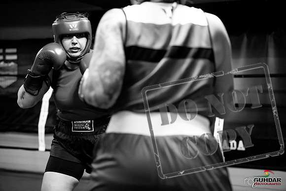 Cougar Boxing -0128