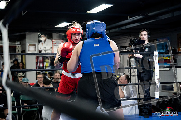 Cougar Boxing -0130