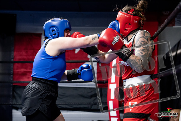 Cougar Boxing -0131