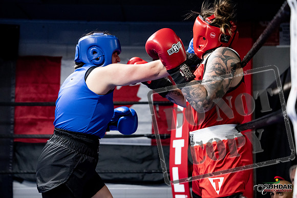 Cougar Boxing -0132