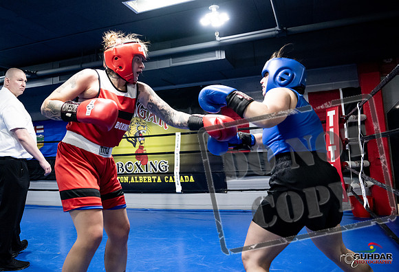 Cougar Boxing -0133