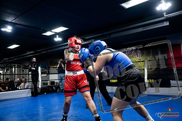 Cougar Boxing -0134