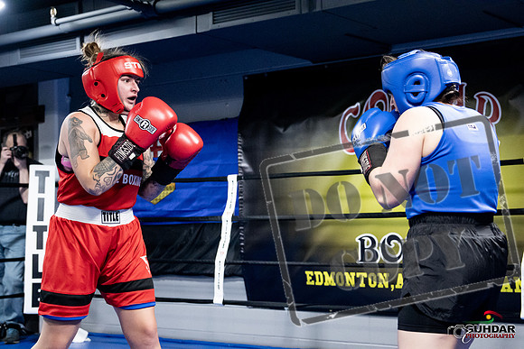Cougar Boxing -0137
