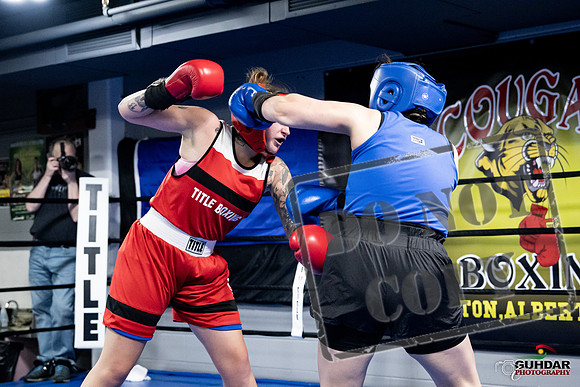 Cougar Boxing -0138