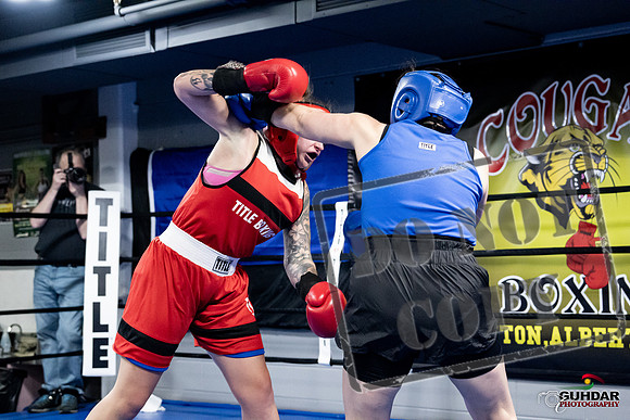 Cougar Boxing -0139