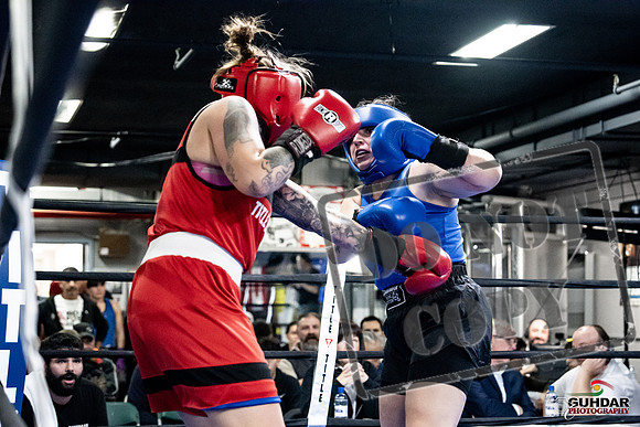 Cougar Boxing -0144