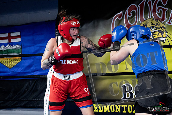 Cougar Boxing -0146
