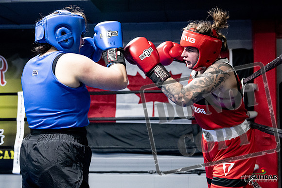Cougar Boxing -0152