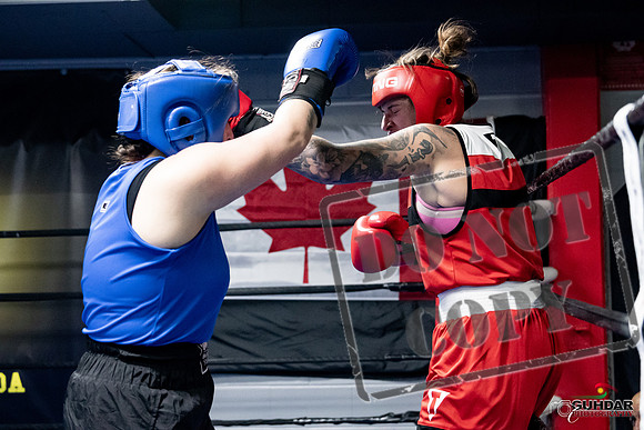 Cougar Boxing -0153