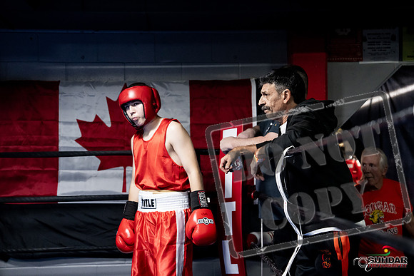 Cougar Boxing -0160