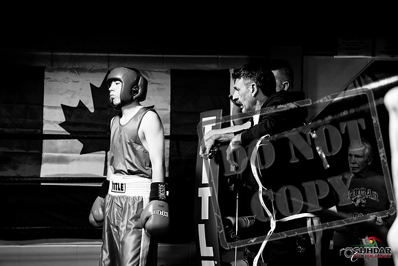 Cougar Boxing -0161