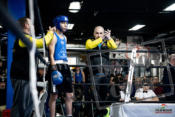 Cougar Boxing -0164