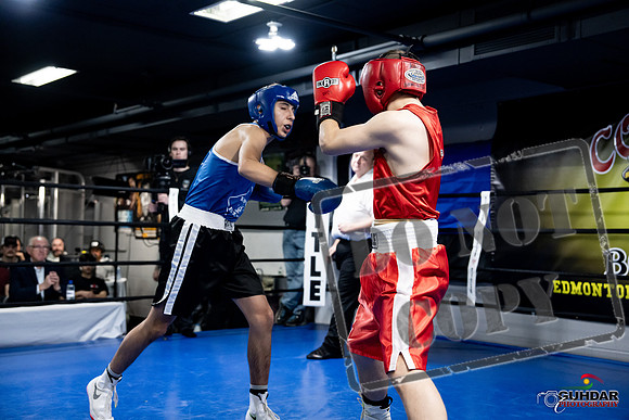 Cougar Boxing -0169